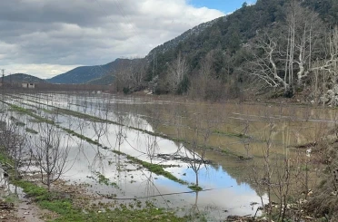 Elmanın başkenti Eğirdir’de yağış bereketi bahçeleri göle çevirdi 