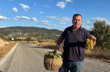 Emet ilçesi Sülye köyünde bağ bozumu heyecanı
