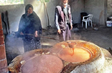 Emet Yağcık köyünde yöresel ve organik pekmez üretim evinde inceleme 