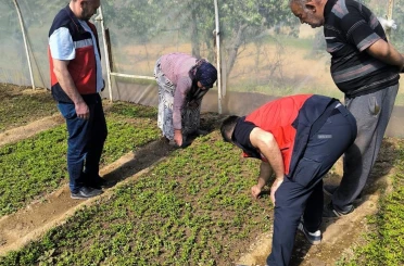 Emet’te seralarda inceleme ve bilgilendirme faaliyetleri 