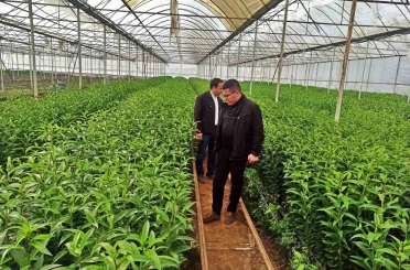 Emet’te üreticiler için Simav’daki seralara teknik gezi 