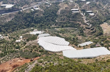 Engebeli arazide tropikal meyve başarısı: 104 dönümlük serada 20’den fazla çeşit meyve yetiştiriliyor 