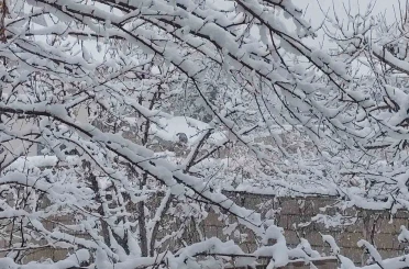 Erciş’te mart ayında kar yağışı 