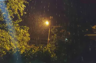 Erciş’te şiddetli yağmur etkili oldu