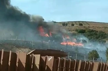 Erdek’te otluk ve ağaçlık alanda yangın 