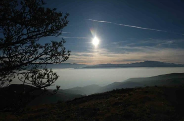 Erzincan Ovası "Pamuk Denizine" döndü 