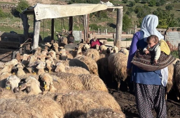 Erzincan Tulum Peyniri yaylalarda geleneksel yöntemlerle üretiliyor 