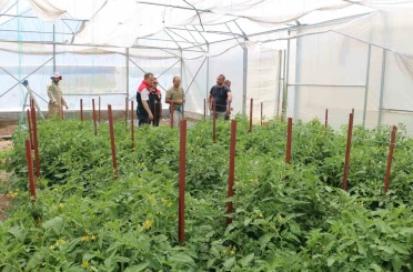 Erzincan’da seracılık yatırımları üretimi artırıyor 