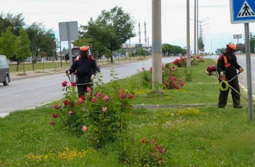 Erzincan’da yeşil alanlarda bakım çalışmaları sürüyor 