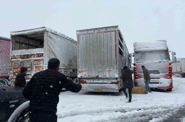 Erzincan’da yolda kalan 200 büyükbaş hayvana yem takviyesi 