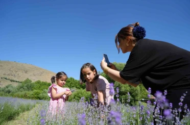 Erzincan’daki lavanta bahçesi ziyaretçilerin ilgi odağı oldu 