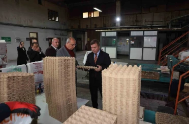Erzincan’dan Türkiye’ye viyol üretimi 