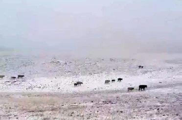 Erzurum’a mevsimin ilk karı yağdı 