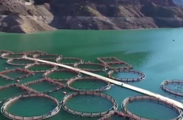 Erzurum’da 3,38 milyar destekle 5 bin 226 kişilik istihdam oluştu 