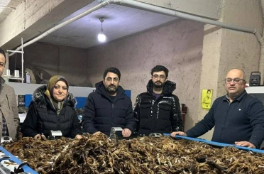 Erzurum’da atık yünler yeşil dönüşümle değer kazanıyor 