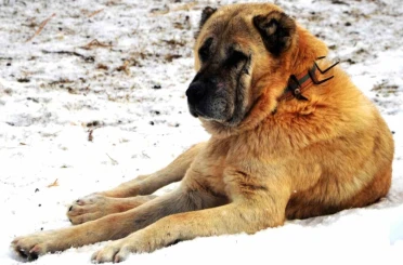 Erzurum’da bir kayıp hikâyesi 