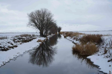 Erzurum’da kar yağışı etkili oluyor 