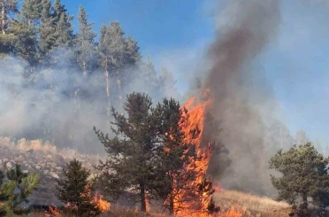 Erzurum’da orman yangını 