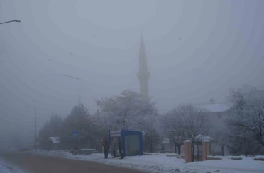 Erzurum’da sis ulaşımı aksattı 
