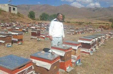 Erzurum’un Çat ilçesinde arıcıların ayı nöbeti 