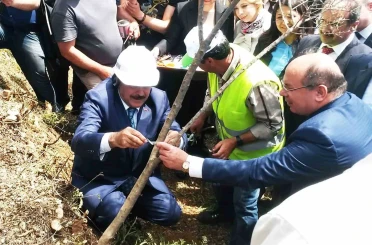 Eski Bakan Eroğlu’nun aşıladığı zeytin meyve vermeye başladı 