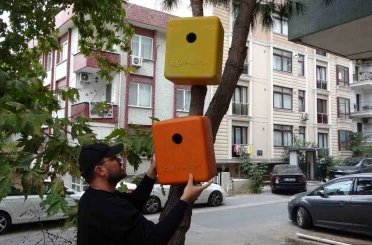 Eski dron çantaları kuş yuvasına dönüştü 