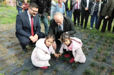 Eskişehir safran üretiminde birincilik yolunda 