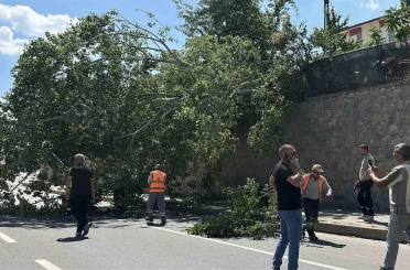 Eskişehir’de devrilen ağaç kara yolunu kısmen trafiğe kapattı 