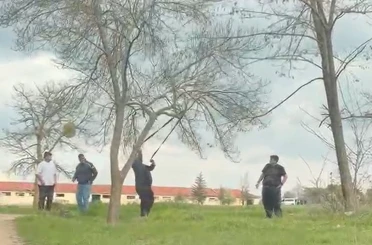 Eskişehir’de ‘mangal için ağaç dalını kırmaya çalıştılar’ iddiası 