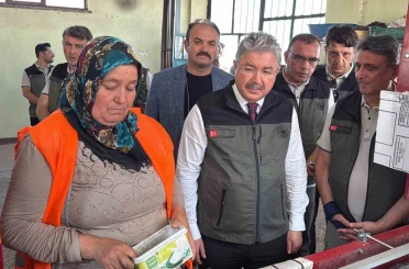 Eskişehir’den yangın bölgelerine gönderilen milyonlarca fidan ’nefes’ olacak 