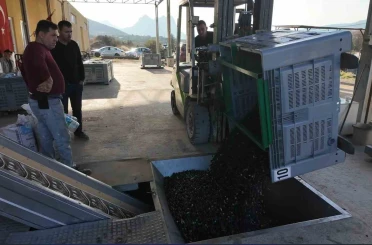 Eskişehir’in Akdeniz’inde zeytinyağının soğuk sıkım yolculuğu 