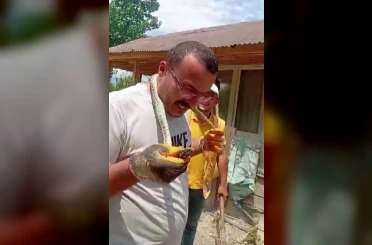 Eve giren yılanı yakalayıp boynuna sardı 