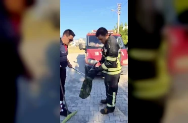 Evin bahçesine giren yılan itfaiye ekiplerini peşinden koşturdu 