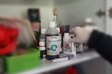 Evin bir odasını uyuşturucu serasına çeviren şüphelileri polis yakaladı 