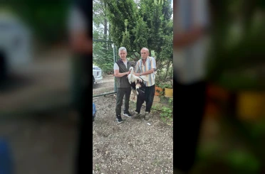 Evinin önüne gelen yaralı leyleğe sahip çıktı 