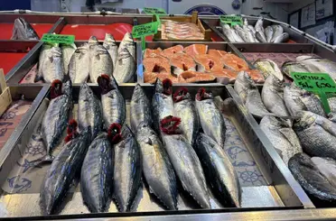 Eylül ayında sofralarda hangi balıklar tercih edilmeli?
