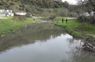 Eyüpsultan’daki gölde balık ölümleri yaşandı 