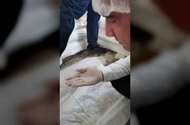Fare dışkısından ve böcekten geçilmeyen fırındaki dondurucudan paslı keser çıktı 