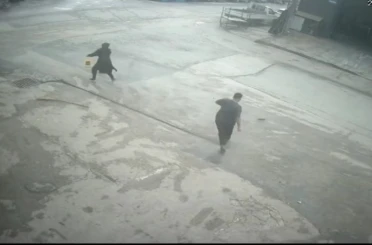 Fareyi süpürgeyle kovaladı, arkadaşı şut atar gibi tekme attı 