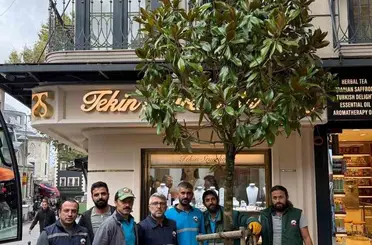 Fatih’te ‘dükkanın önünü kapatıyor’ denilerek kesilen ağacın yerine yenisi dikildi
