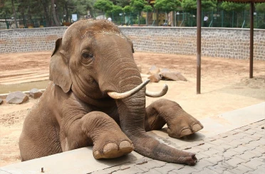 Fatma Şahin’den CHP’li Başarır’a yalanlama 