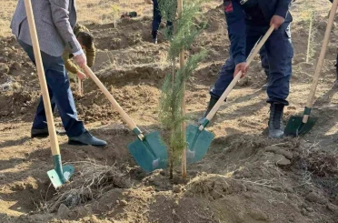 Fidanlar toprakla buluştu 