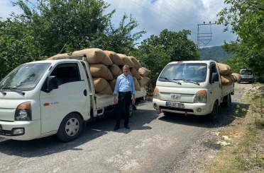 Fındık tüccarından üreticiye kritik uyarı: "Dalından toplamayın, yere dökülmesini bekleyin" 