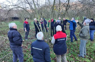 Fındıkta verim ve kalite artırılıyor 