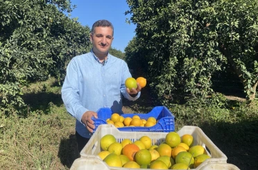Finike’de portakal sezonu başladı, 250 bin ton rekolte bekleniyor 