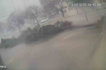 Fırtına dev ağaçları kökünden söktü, o anlar kameraya yansıdı 