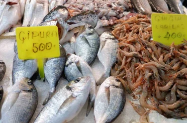 Foça Balık Hali’nde kış sezonu:"Sardalya ve uskumru zamanı" 