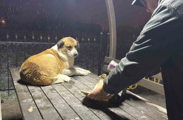 Gazetecilerden duyarlı davranış 