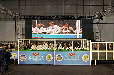 Gaziantep’te ’29. Türkiye Filo Güvercin Güzellik Festivali’ düzenlendi 