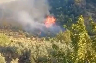 Gaziantep’te çıkan orman yangını havadan ve karadan müdahaleyle söndürüldü 